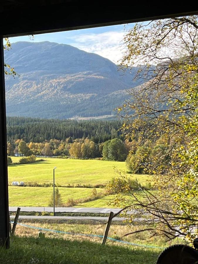 Tommen'S Crib Apartment Hemsedal Bagian luar foto